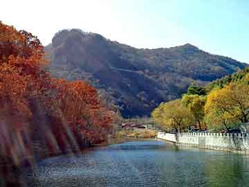 新澳天天开奖资料大全旅游团，三氧化钼价格